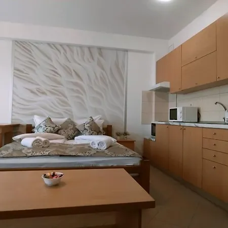 아파트호텔 - Vila Kovilje Banja Koviljača