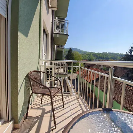 아파트호텔 - Vila Kovilje