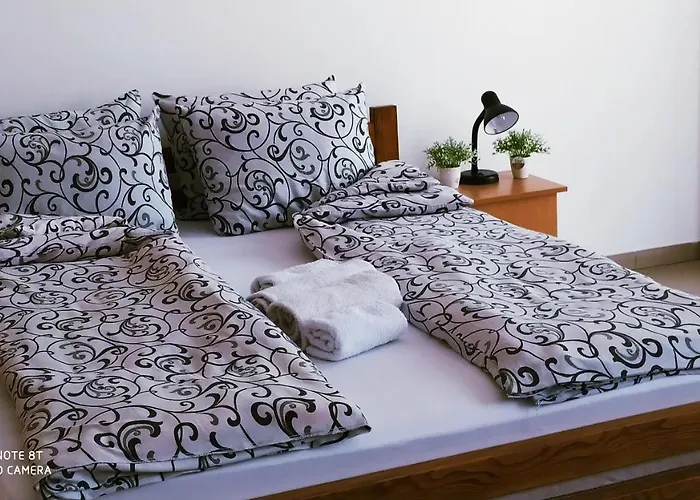 - Vila Kovilje Hotel apartamentowy Banja Koviljača