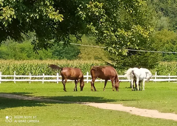 Hotel apartamentowy - Vila Kovilje *