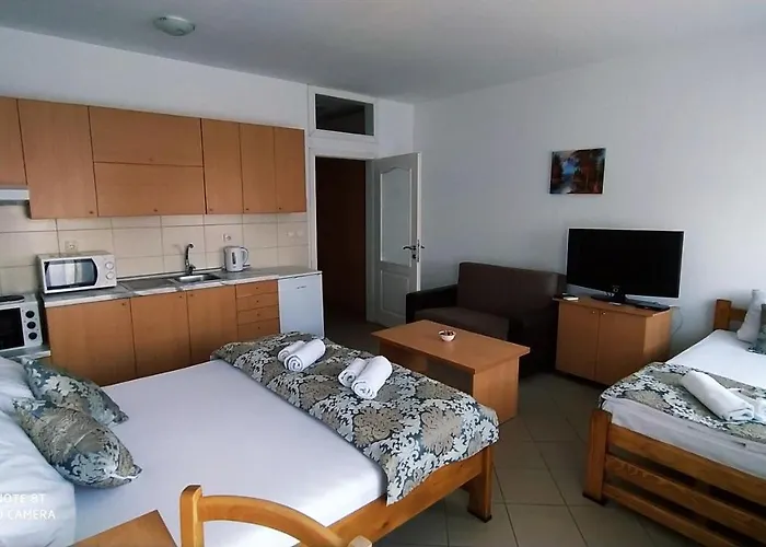 - Vila Kovilje Hotel apartamentowy Banja Koviljača