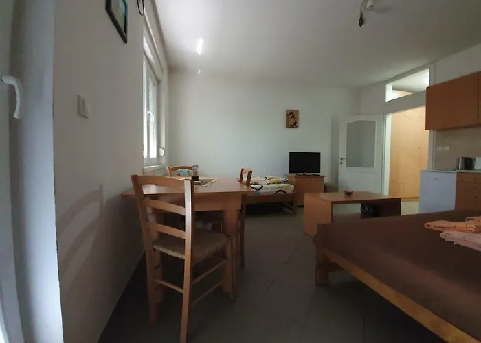 Hotel apartamentowy - Vila Kovilje *