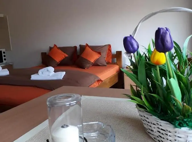 - Vila Kovilje Hotel apartamentowy Banja Koviljača